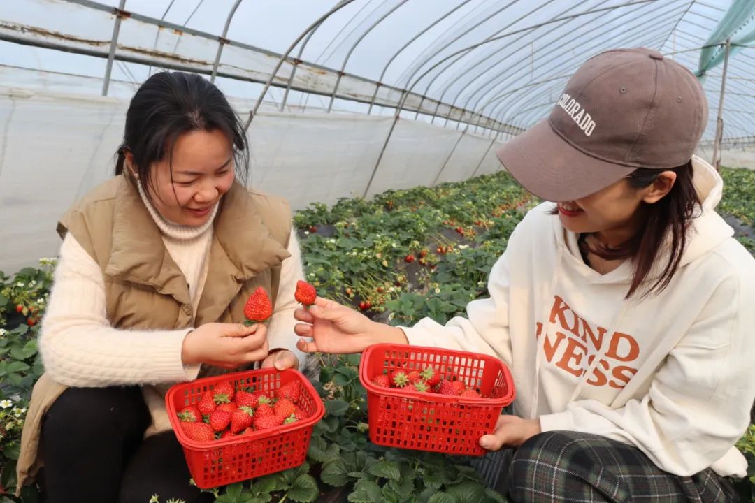 2024030802h.jpg 2024030802h.jpg